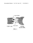 Novel Artificial Antigen Presenting Cells and Uses Therefor diagram and image