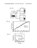 Novel Artificial Antigen Presenting Cells and Uses Therefor diagram and image