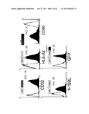 Novel Artificial Antigen Presenting Cells and Uses Therefor diagram and image