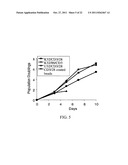 Novel Artificial Antigen Presenting Cells and Uses Therefor diagram and image