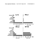 Novel Artificial Antigen Presenting Cells and Uses Therefor diagram and image