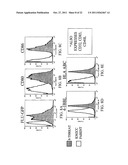 Novel Artificial Antigen Presenting Cells and Uses Therefor diagram and image