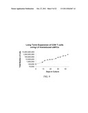 Novel Artificial Antigen Presenting Cells and Uses Therefor diagram and image