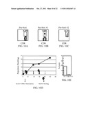 Novel Artificial Antigen Presenting Cells and Uses Therefor diagram and image