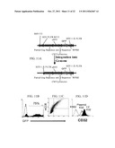 Novel Artificial Antigen Presenting Cells and Uses Therefor diagram and image