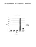 Novel Artificial Antigen Presenting Cells and Uses Therefor diagram and image