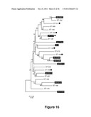 Chimeric HIV Antigens diagram and image