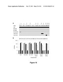 Chimeric HIV Antigens diagram and image