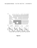 Chimeric HIV Antigens diagram and image