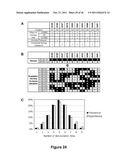 Chimeric HIV Antigens diagram and image