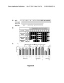 Chimeric HIV Antigens diagram and image