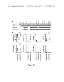 Chimeric HIV Antigens diagram and image