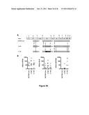 Chimeric HIV Antigens diagram and image