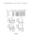 Chimeric HIV Antigens diagram and image