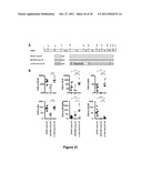 Chimeric HIV Antigens diagram and image