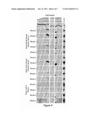 LYME DISEASE VACCINE diagram and image