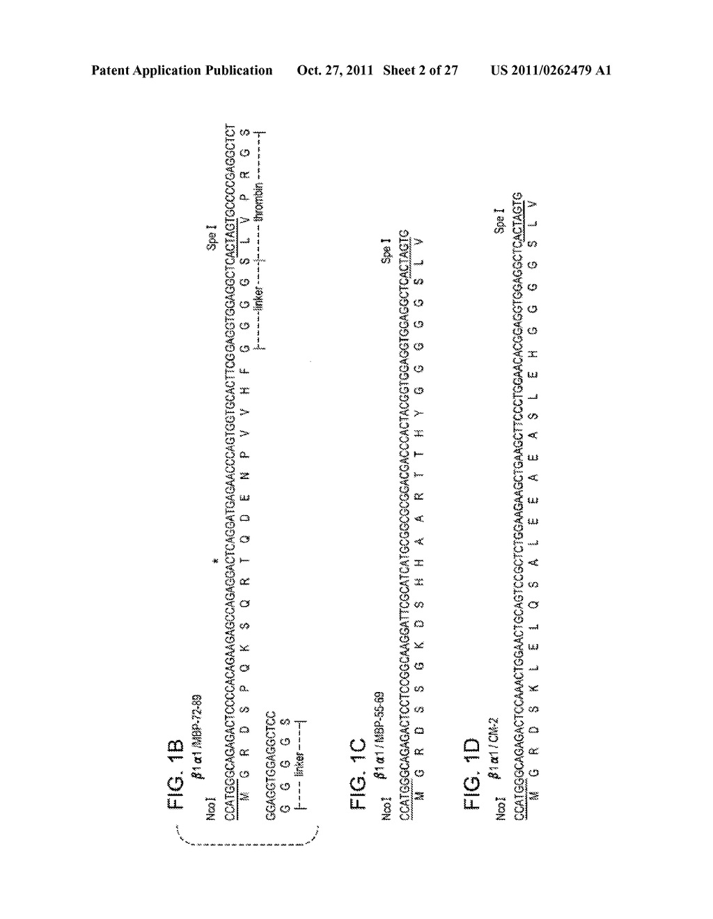 RECOMBINANT MHC MOLECULES USEFUL FOR MANIPULATION OF ANTIGEN-SPECIFIC     T-CELLS - diagram, schematic, and image 03