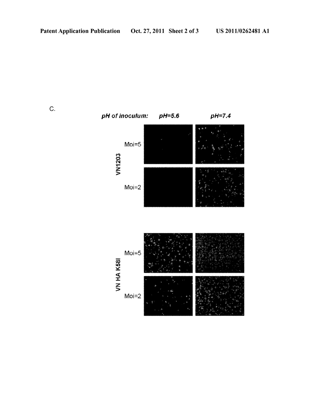 HIGH GROWTH REASSORTANT INFLUENZA A VIRUS - diagram, schematic, and image 03