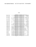 Novel HIV-1 Envelope Glycoprotein diagram and image