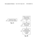 FENESTRATED WOUND REPAIR SCAFFOLD diagram and image