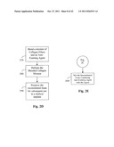 FENESTRATED WOUND REPAIR SCAFFOLD diagram and image