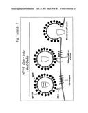 METHOD OF INDUCING AN ANTI-VIRAL IMMUNE RESPONSE diagram and image