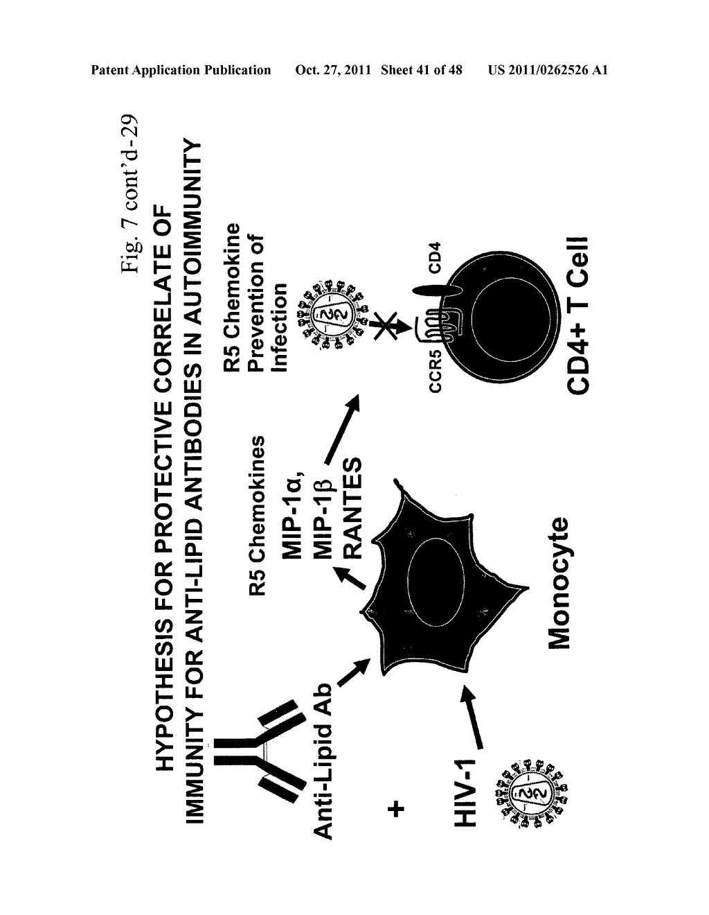 METHOD OF INDUCING AN ANTI-VIRAL IMMUNE RESPONSE - diagram, schematic, and image 42