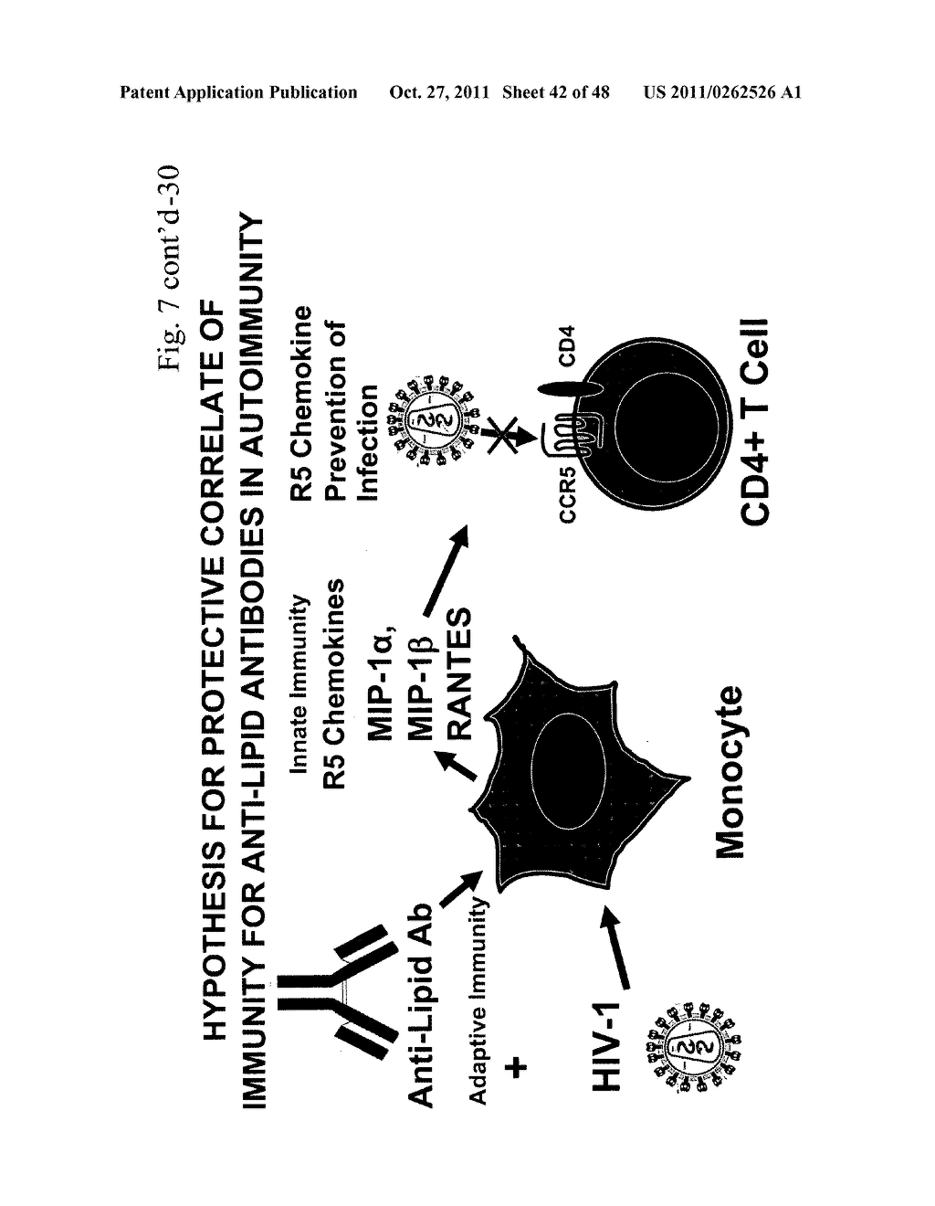 METHOD OF INDUCING AN ANTI-VIRAL IMMUNE RESPONSE - diagram, schematic, and image 43