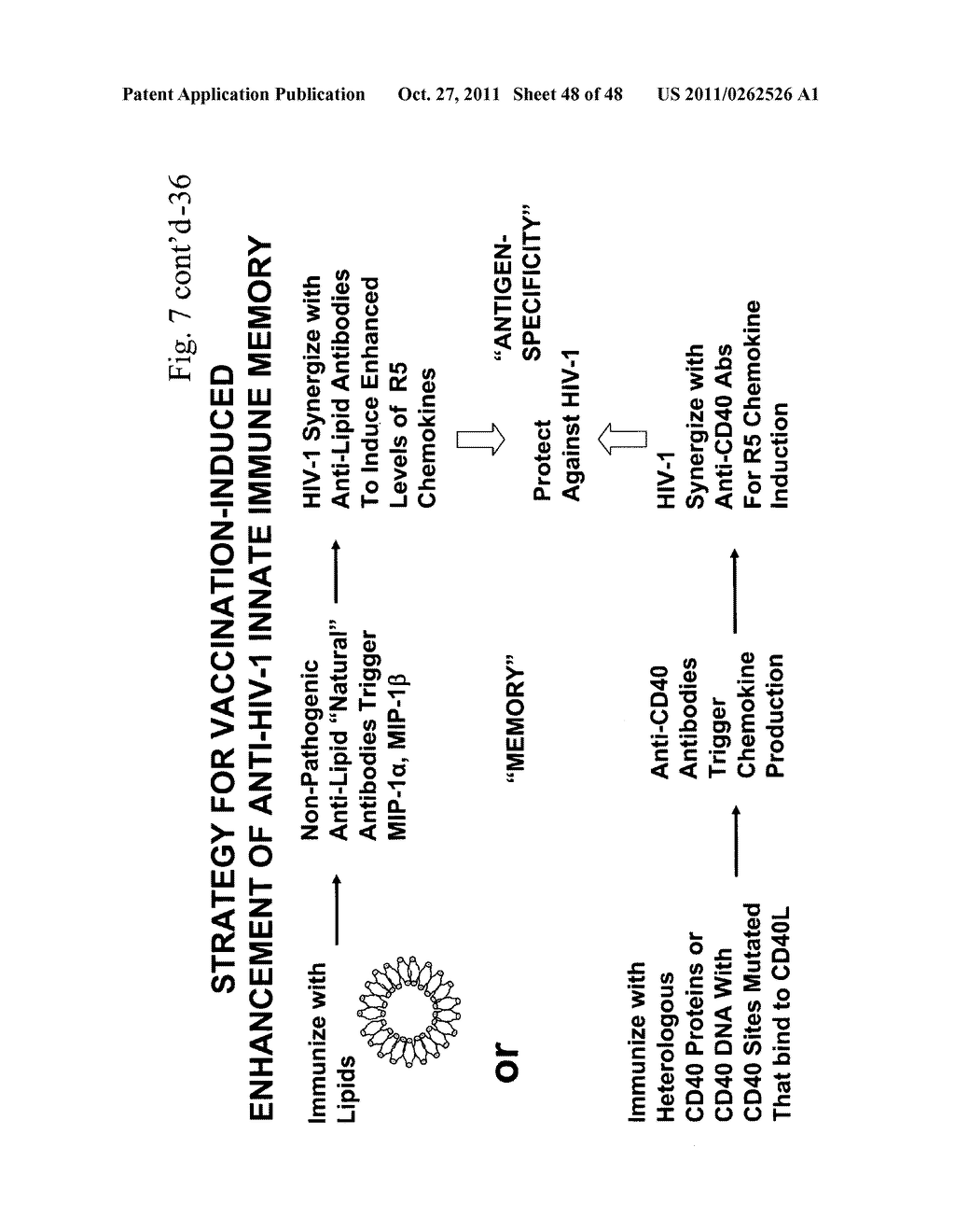 METHOD OF INDUCING AN ANTI-VIRAL IMMUNE RESPONSE - diagram, schematic, and image 49