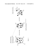 CONTROLLED RELEASE REMEDIATION SYSTEM AND COMPOSITION diagram and image