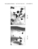 CONTROLLED RELEASE REMEDIATION SYSTEM AND COMPOSITION diagram and image