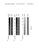 Treatment of Cancer with Selenium Nanoparticles diagram and image