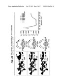 PIP-2 Inhibition-Based Antiviral and Anti-Hyperlipidemic Therapies diagram and image