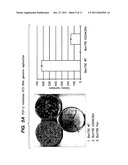 PIP-2 Inhibition-Based Antiviral and Anti-Hyperlipidemic Therapies diagram and image