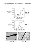 Surfactant-Assisted Inorganic Nanoparticle Deposition on a Cellulose     Nanocrystals diagram and image