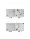 Surfactant-Assisted Inorganic Nanoparticle Deposition on a Cellulose     Nanocrystals diagram and image