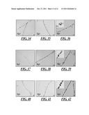 Surfactant-Assisted Inorganic Nanoparticle Deposition on a Cellulose     Nanocrystals diagram and image