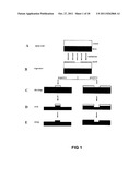 NOVEL DUAL-TONE RESIST FORMULATIONS AND METHODS diagram and image