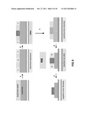 NOVEL DUAL-TONE RESIST FORMULATIONS AND METHODS diagram and image