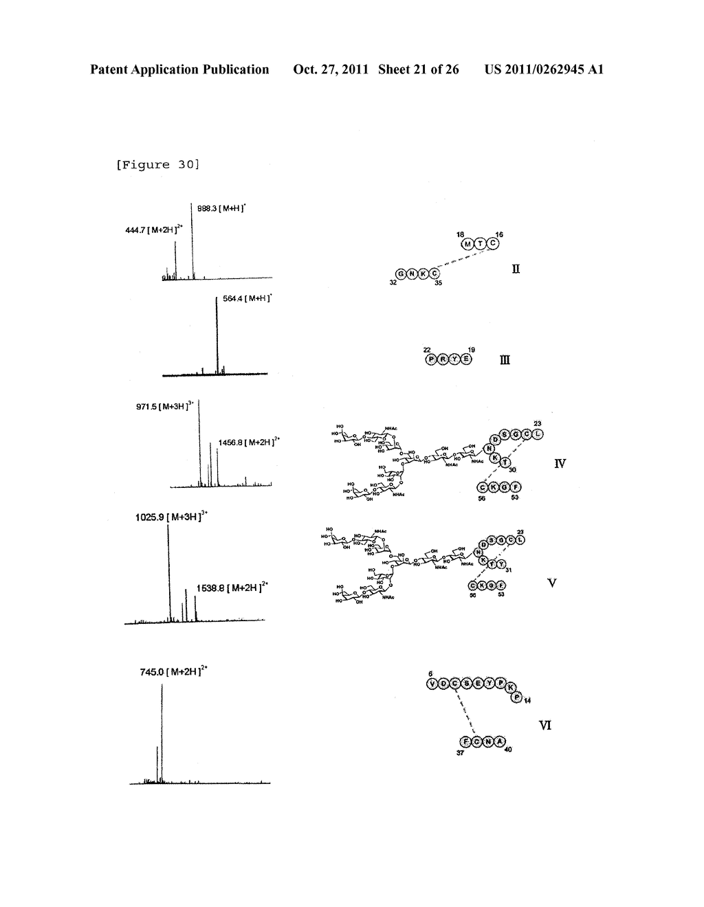 GLYCOPROTEIN PRODUCTION METHOD AND SCREENING METHOD - diagram, schematic, and image 22