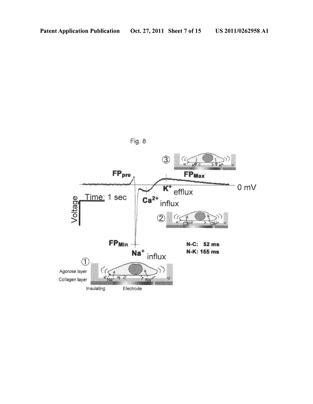 DEVICE FOR EXAMINING MYOCARDIAL TOXICITY, CHIP FOR EXAMINING MYOCARDIAL     TOXICITY AND METHOD FOR EXAMINING MYOCARDIAL TOXICITY - diagram, schematic, and image 08