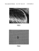 MYCOBACTERIA CULTURE MEDIUM AND METHOD INCLUDING MYCOBACTERIA OF     MYCOBACTERIUM TUBERCULOSIS COMPLEX diagram and image