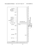 CELL CULTURE MEDIUM COMPRISING SMALL PEPTIDES diagram and image