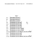 DNA REPLICON SYSTEM FOR HIGH-LEVEL RAPID PRODUCTION OF VACCINES AND     MONOCLONAL ANTIBODY THERAPEUTICS IN PLANTS diagram and image