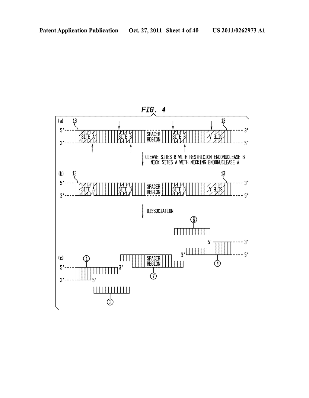 Methods and Compositions for DNA Manipulation - diagram, schematic, and image 05