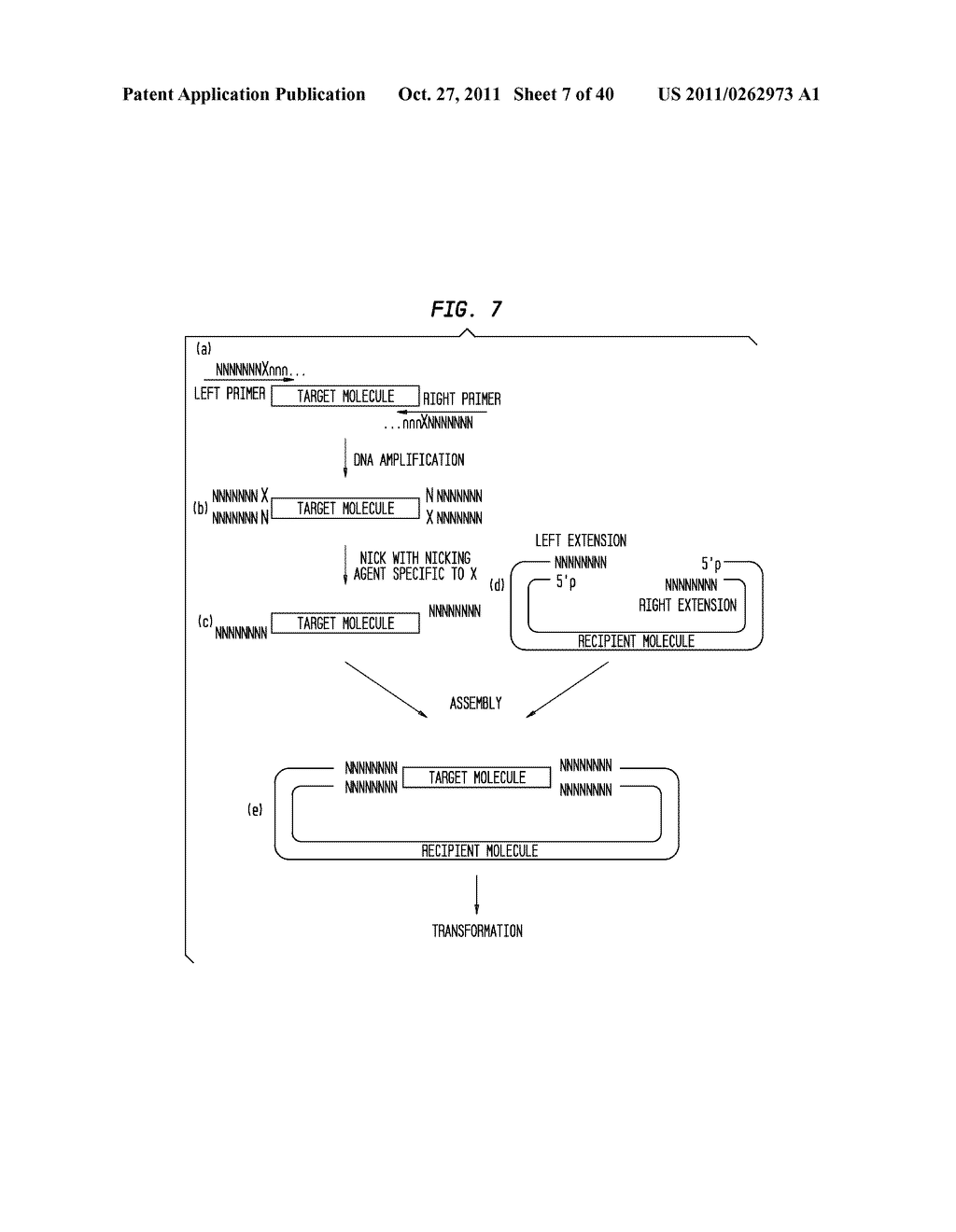 Methods and Compositions for DNA Manipulation - diagram, schematic, and image 08