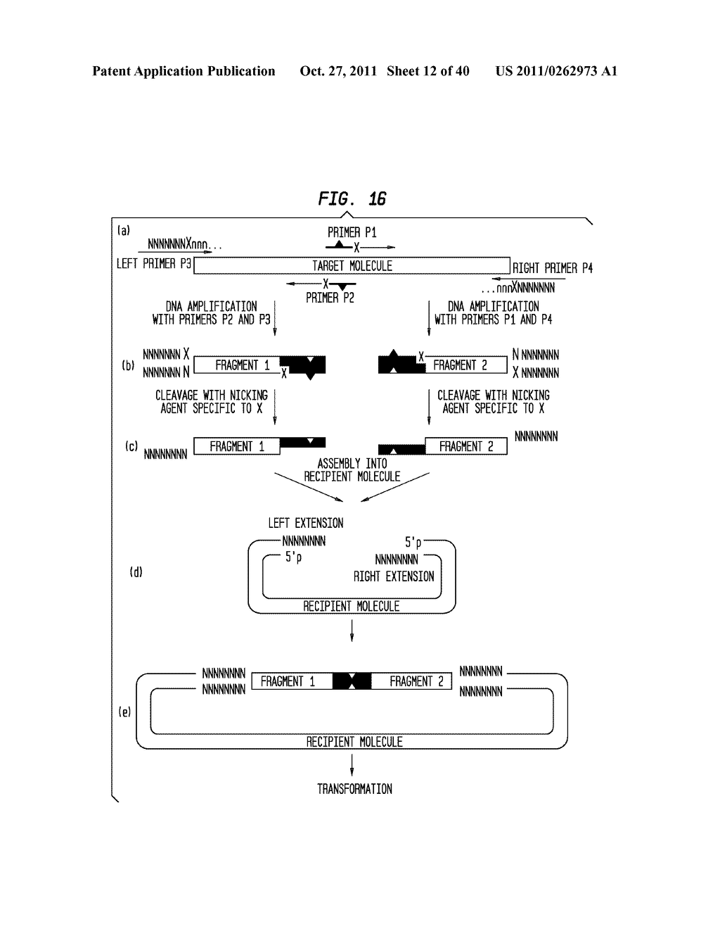 Methods and Compositions for DNA Manipulation - diagram, schematic, and image 13