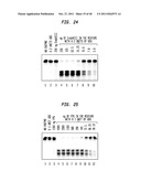 Methods and Compositions for DNA Manipulation diagram and image