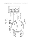 Methods and Compositions for DNA Manipulation diagram and image