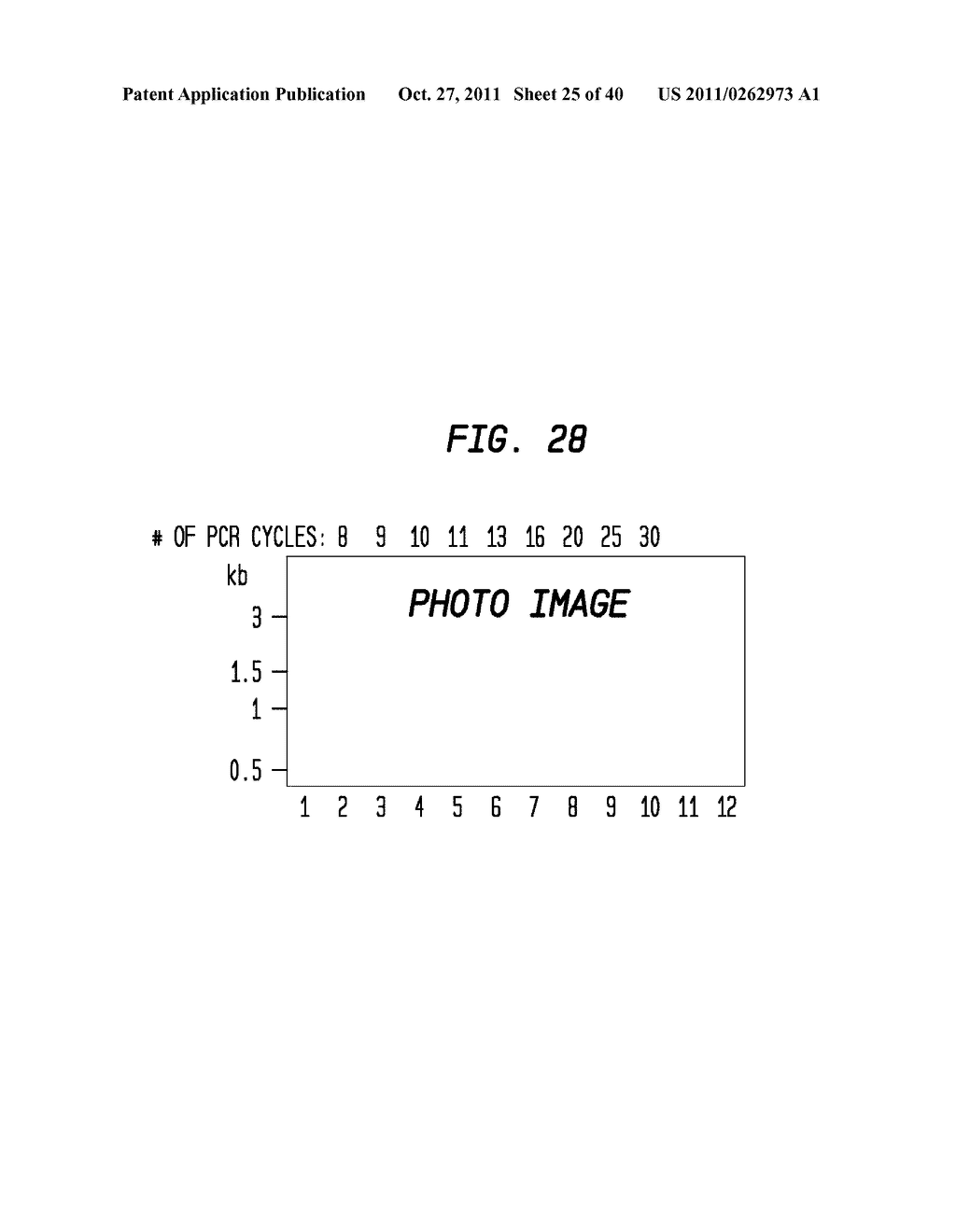 Methods and Compositions for DNA Manipulation - diagram, schematic, and image 26